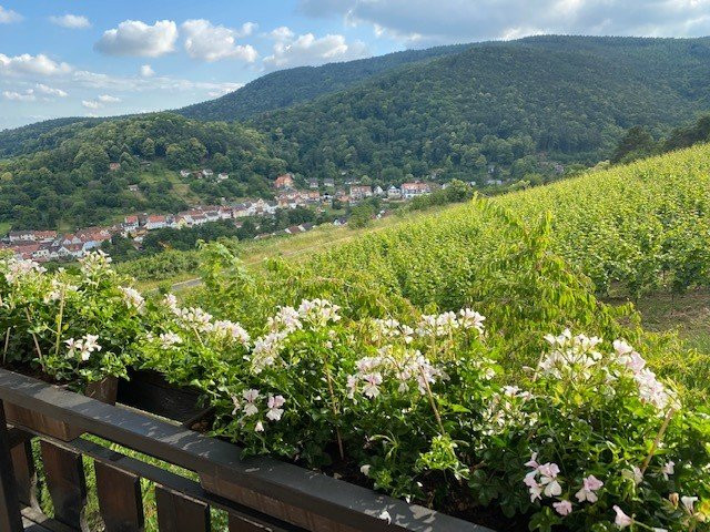 维恩贝格豪斯酒店主图