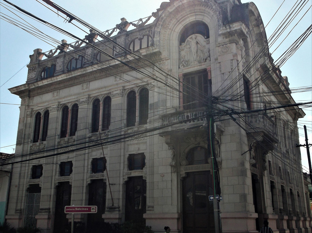 Palacio Salcines景点图片