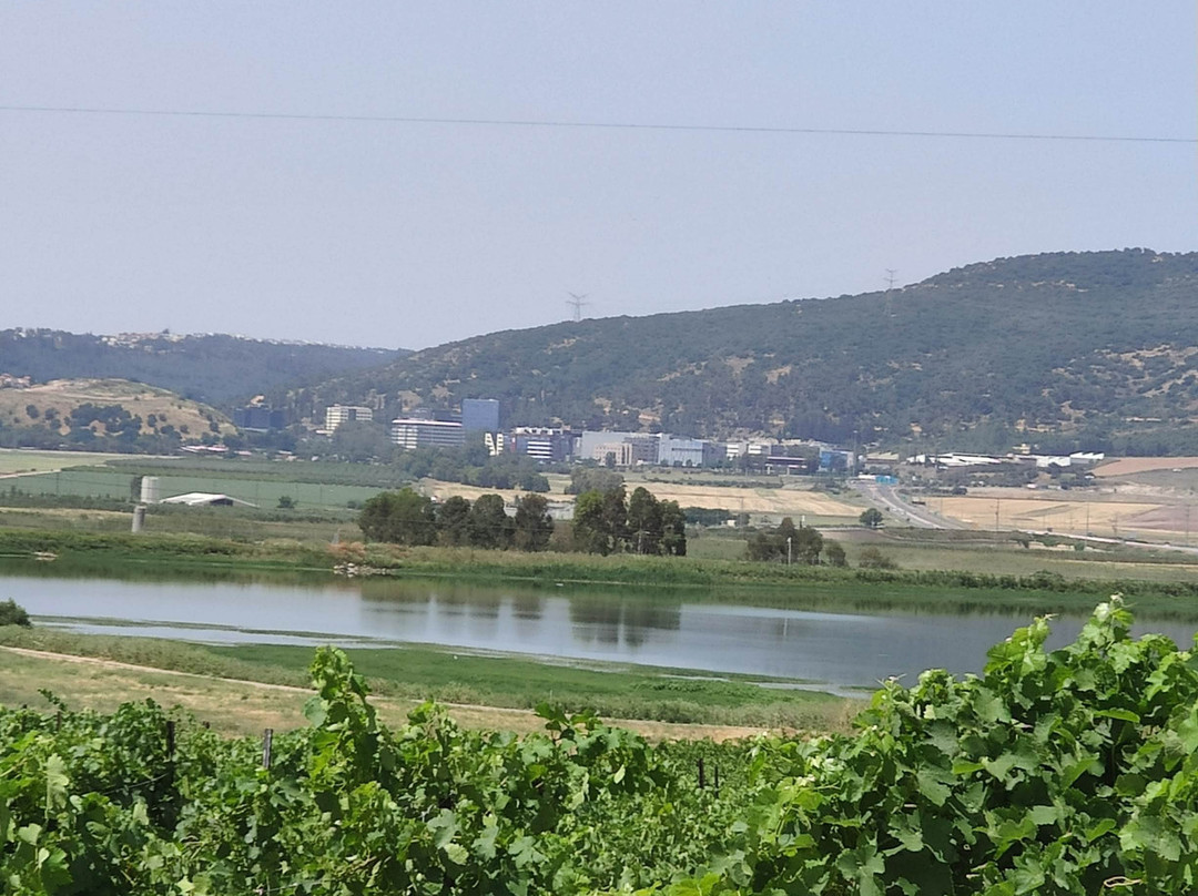 Israel Wine Journeys-Beit Shemesh必去景点