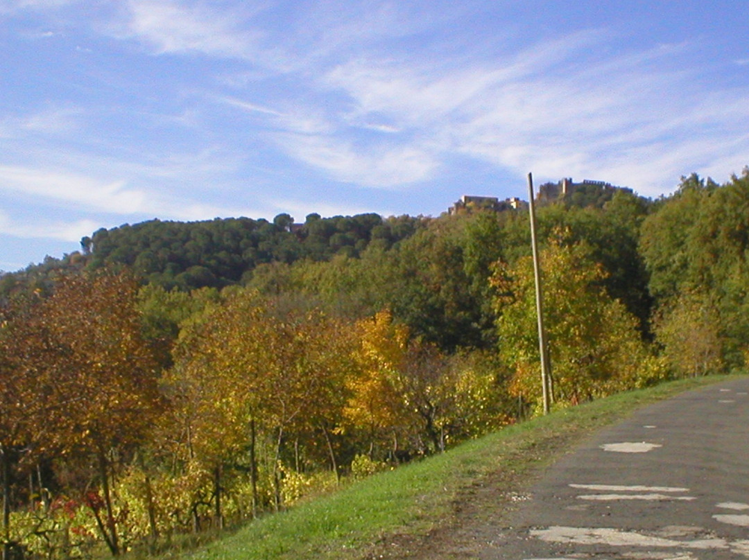 Castello Medievale di Vicalvi-Vicalvi必去景点