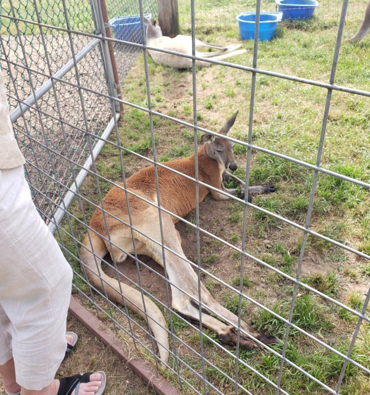 Lost Creek Safari-斯蒂尔沃特必去景点