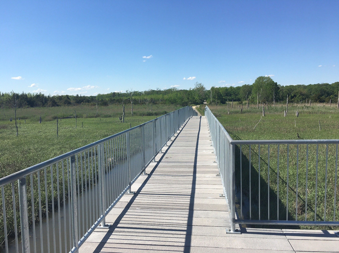 Port Norris Pathway景点图片