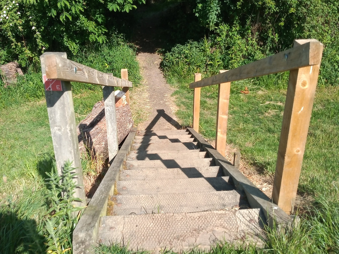 Fox Covert Local Nature Reserve-Long Eaton必去景点