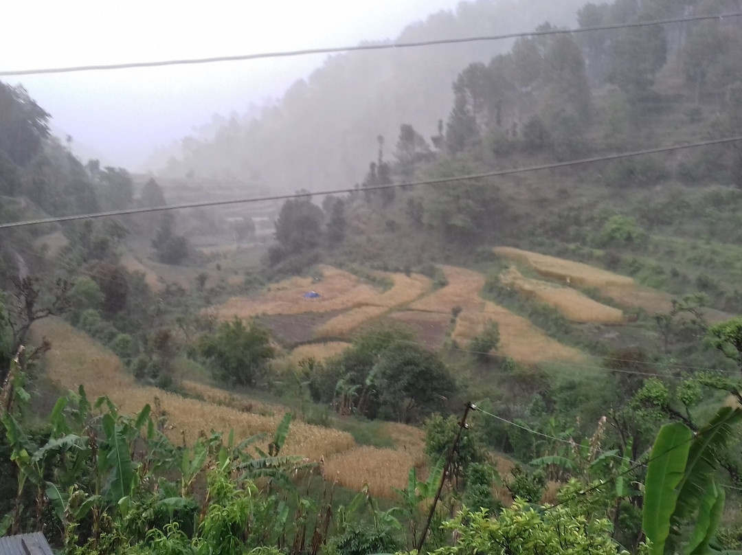 South India Voyages景点图片