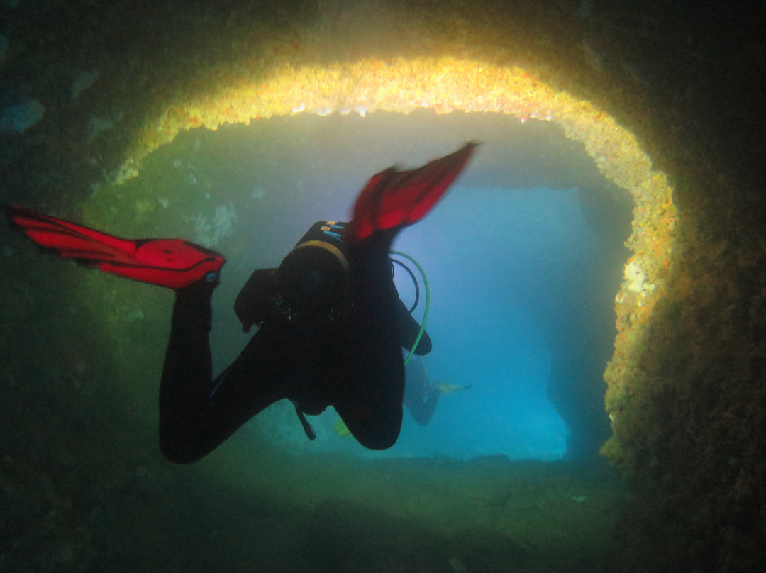 Hippocampus Diving Center-普拉必去景点