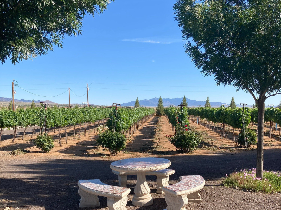 Cella Winery-金曼必去景点