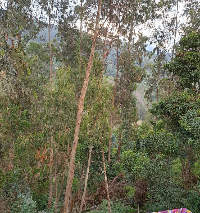 Hotel el Toro Bravo主图