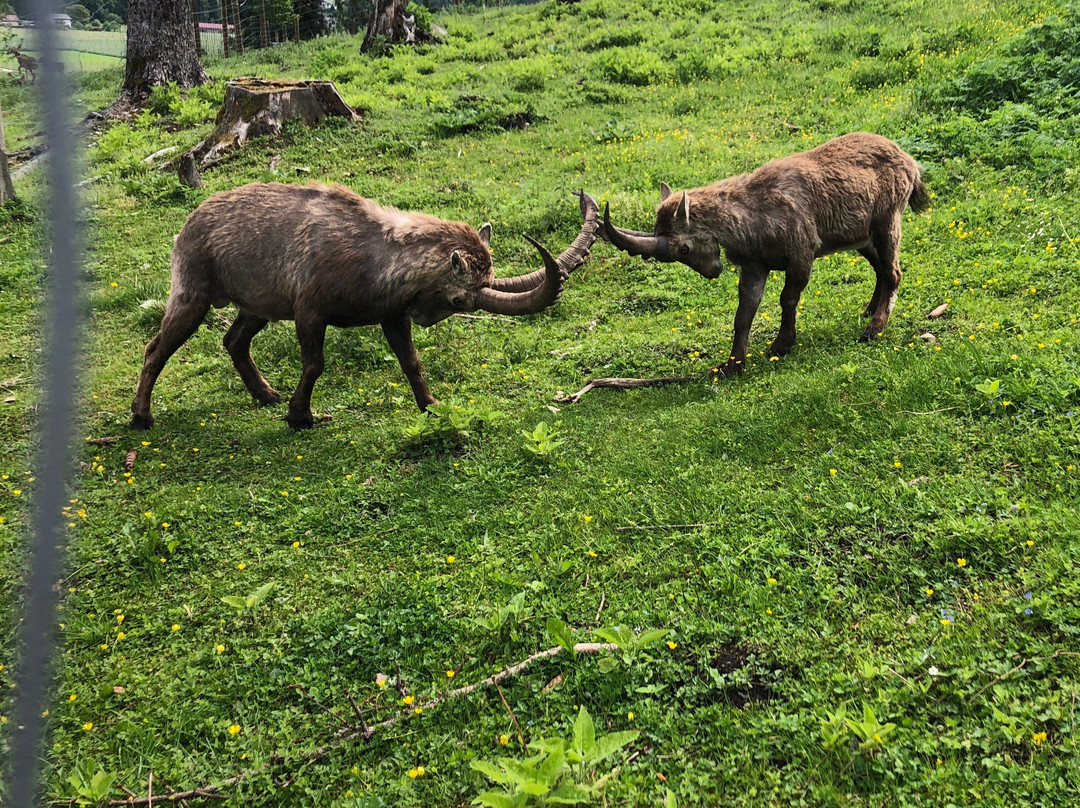 Tierpark Rosegg-Rosegg必去景点