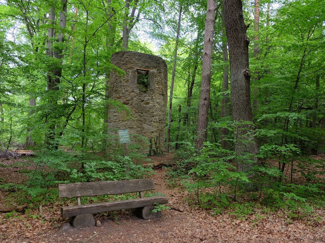 Walbecker Warte-Helmstedt必去景点