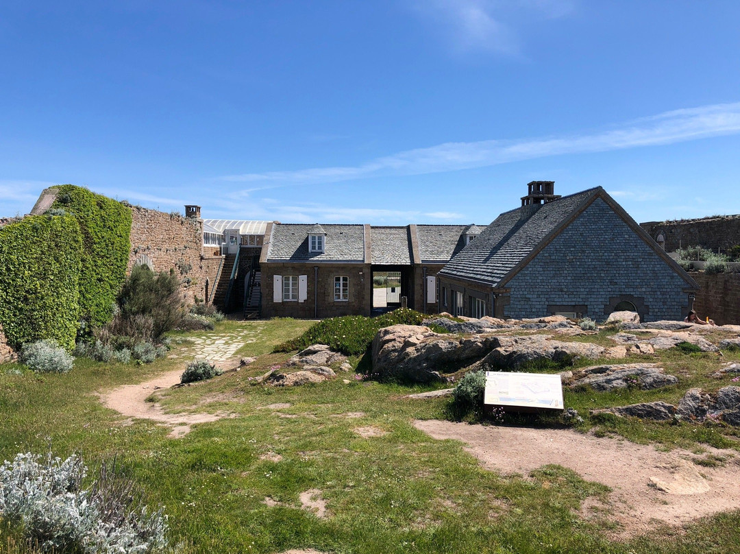Le Fort du Cap Levi主图