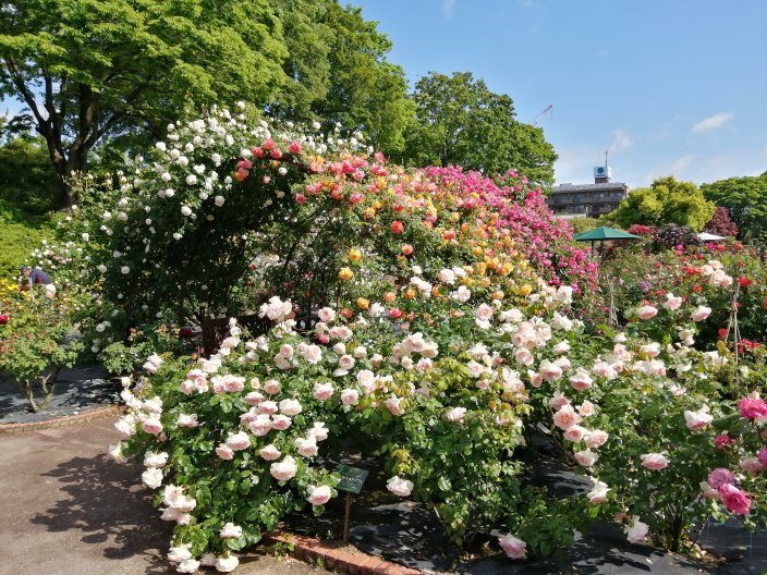 Nishiyama Park-丰田市必去景点