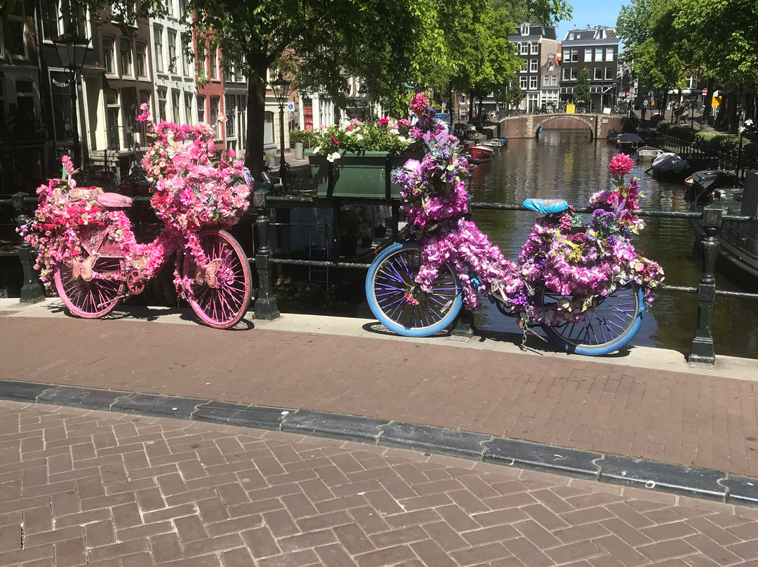 Amsterdam En Bicicleta-阿姆斯特丹必去景点