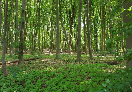 Tierpark Tannenbusch-Dormagen必去景点