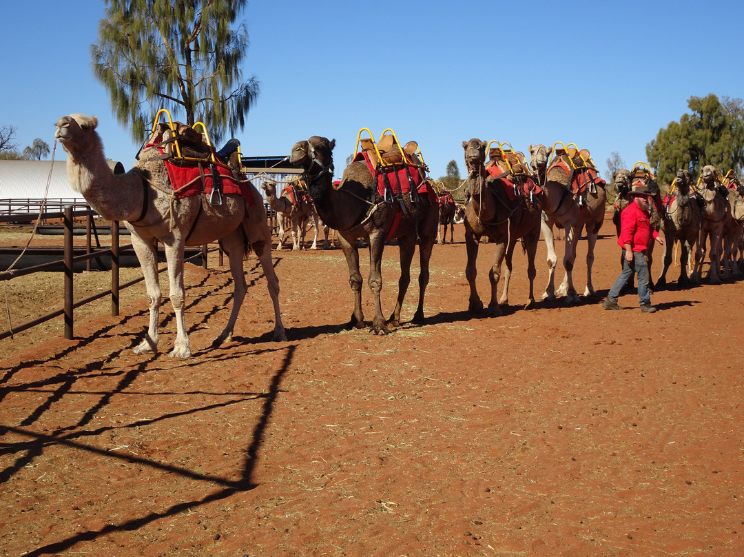 Uluru-Kata Tjuta Cultural Centre-乌鲁鲁-卡塔丘塔国家公园必去景点