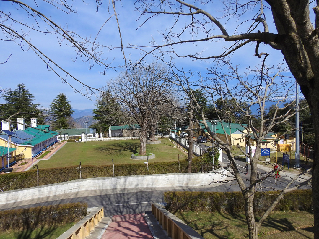 Chail Cricket Ground景点图片
