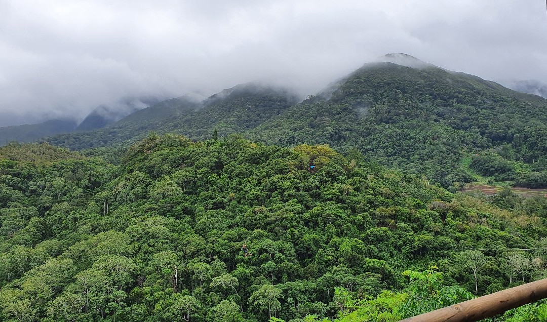 La Belle Verte Canopy Tours-Paita必去景点