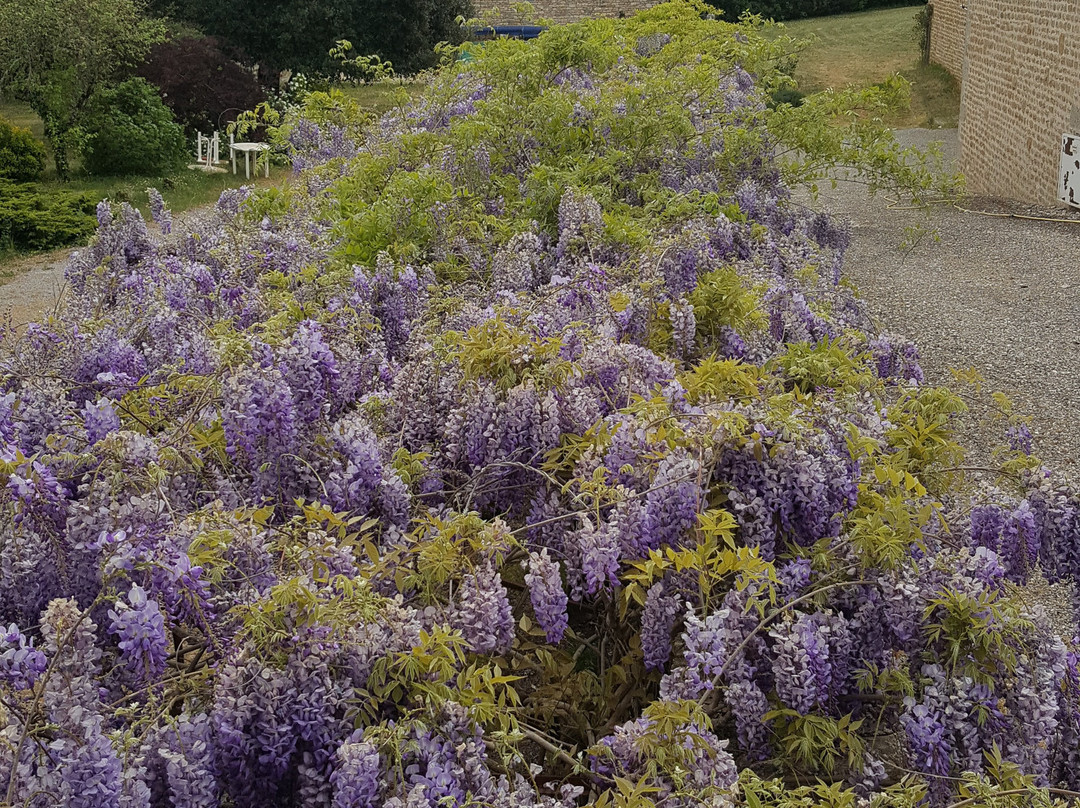Hôtel du Château主图
