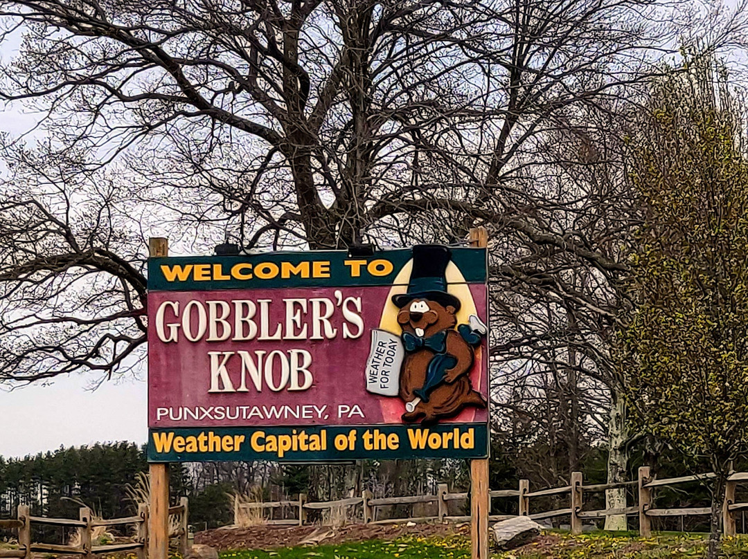 Gobbler's Knob景点图片
