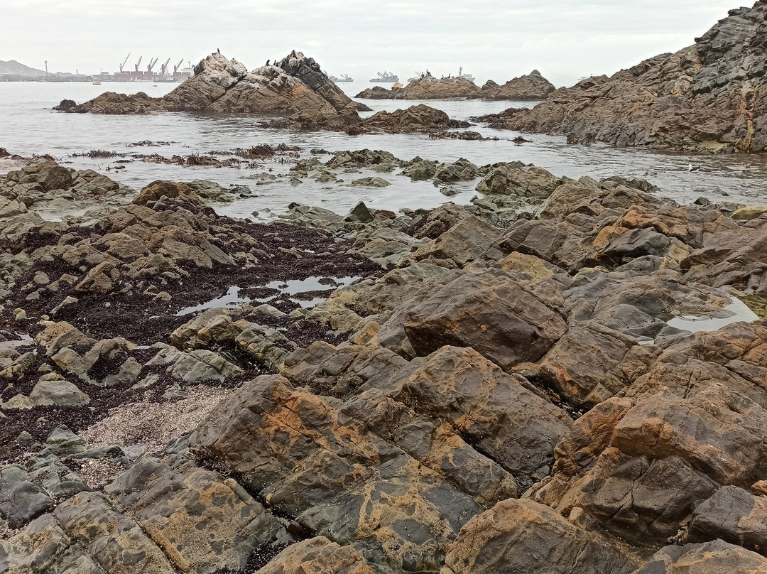 Parque de los Heroes-Ilo必去景点