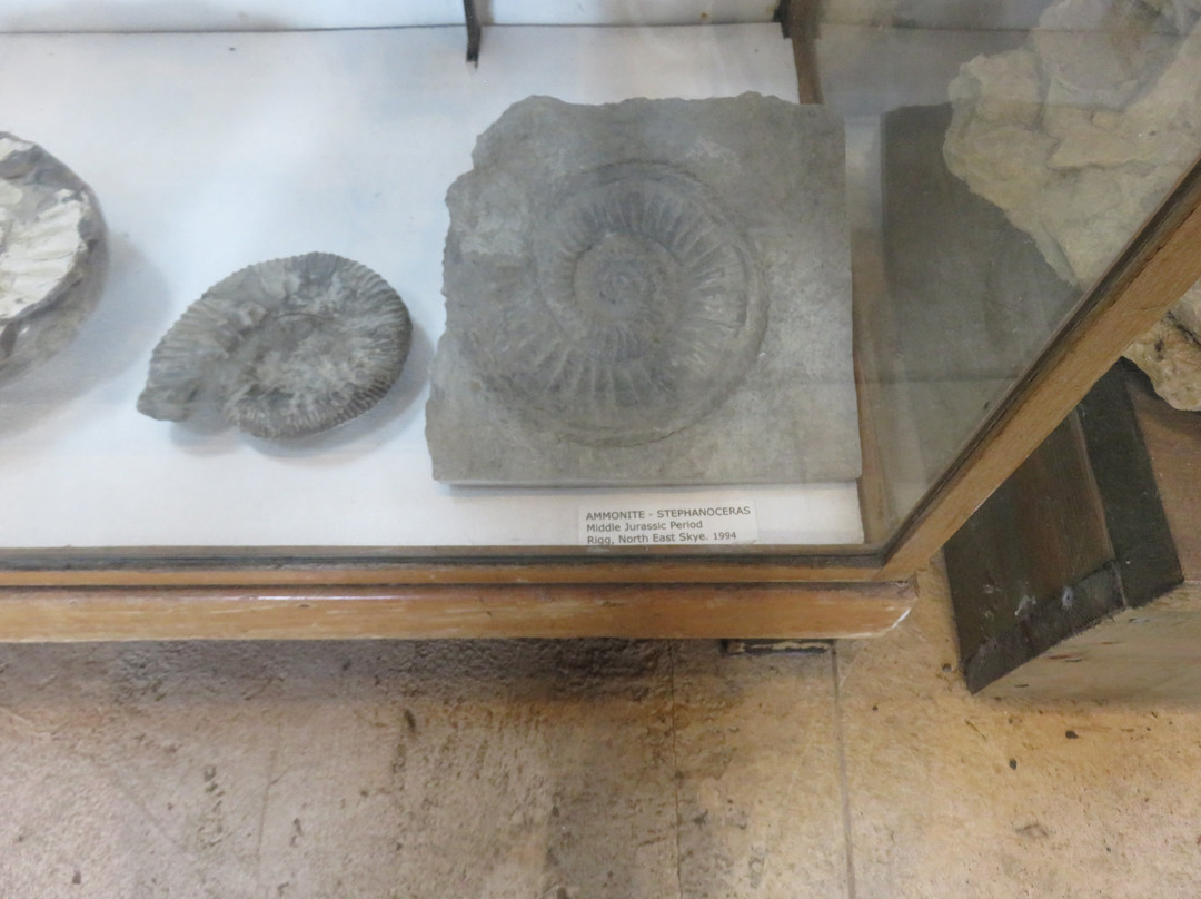 Staffin Fossil Museum景点图片