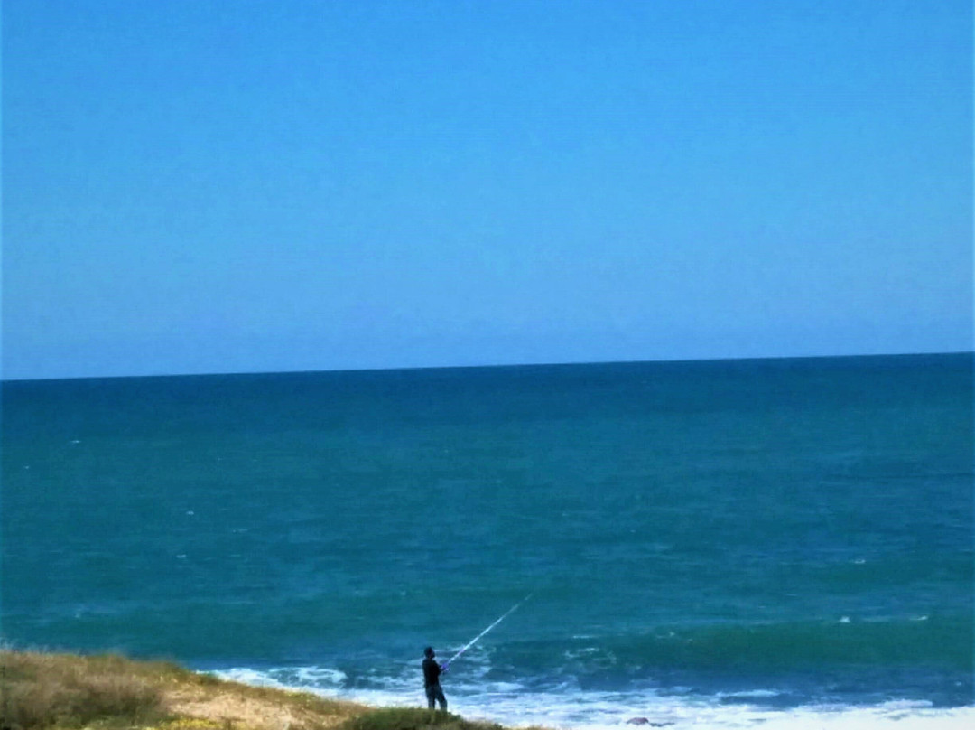 Dor Habonim Beach Nature Reserve-Zichron Yaakov必去景点