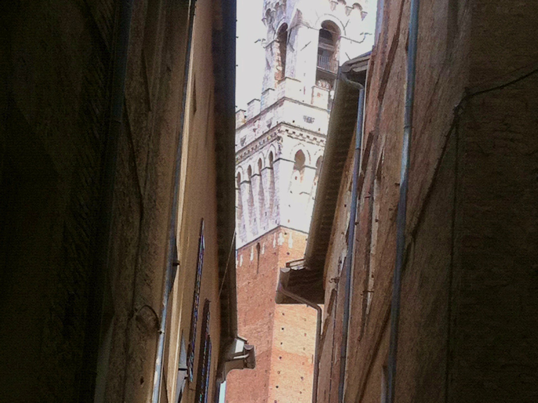 Centro Storico Di Siena-锡耶纳必去景点