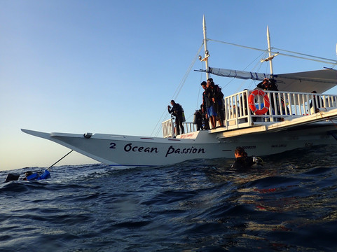 Ocean Passion Malapascua-妈妈拍丝瓜岛必去景点