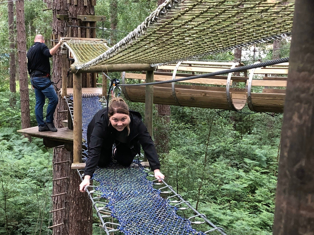Go Ape Sherwood景点图片