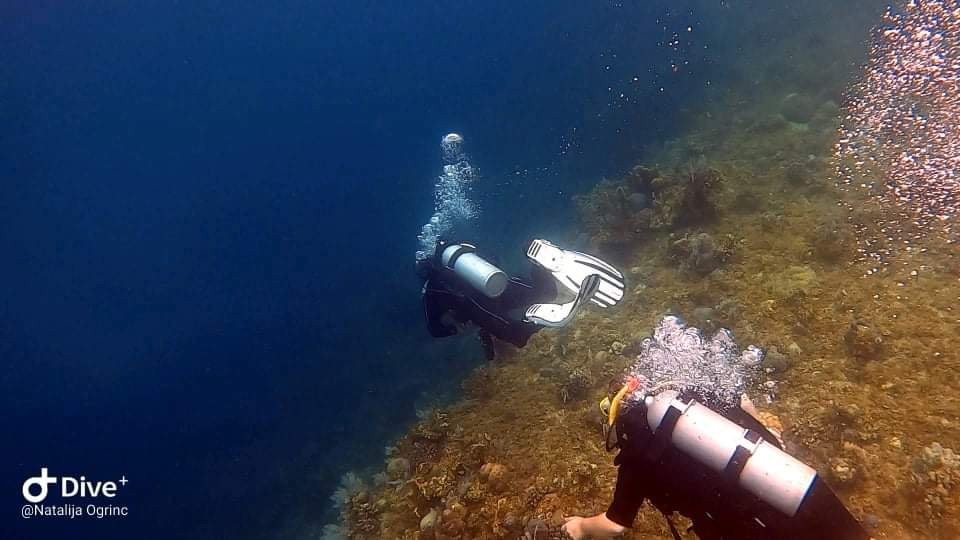 Dive Point Siquijor-圣胡安必去景点