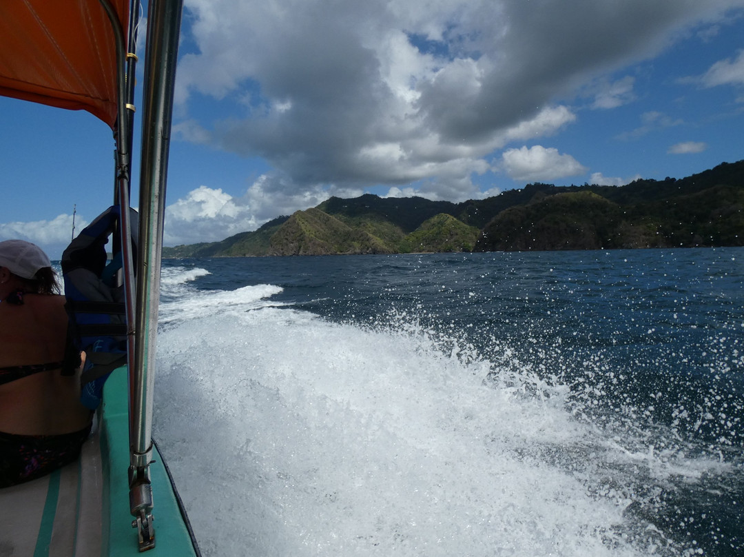 Pops Tours Tobago-Buccoo必去景点