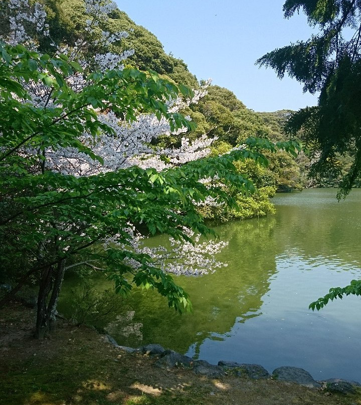 Sakuragaike Pond景点图片