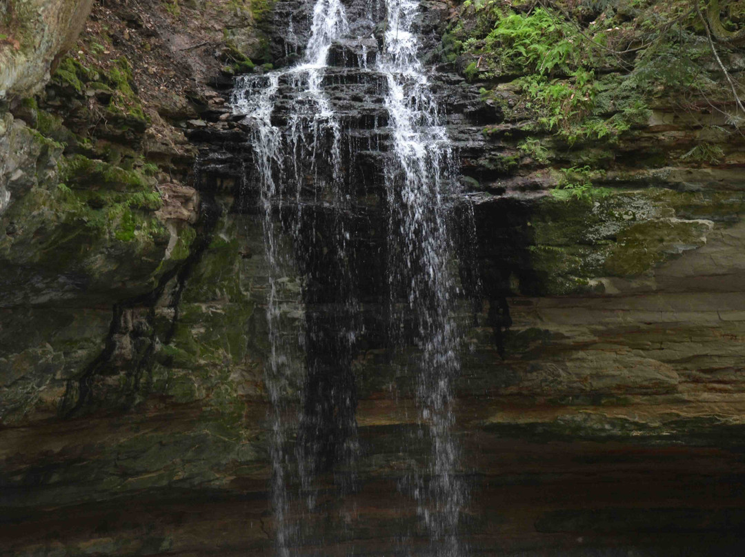 Tannery Falls-缪尼辛必去景点