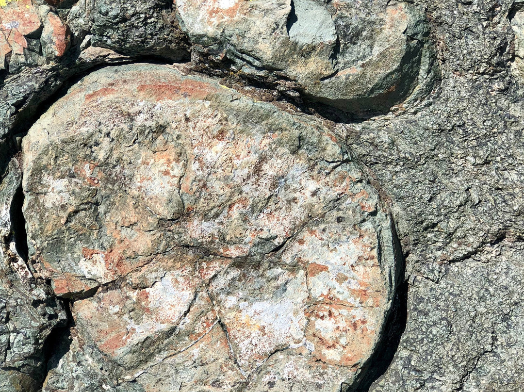 Highline Trail-冰河国家公园必去景点