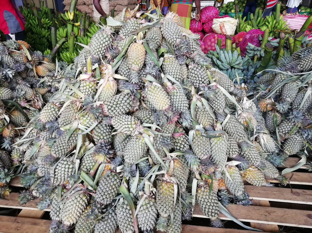 Dambulla Dedicated Economic Centre-丹布拉必去景点