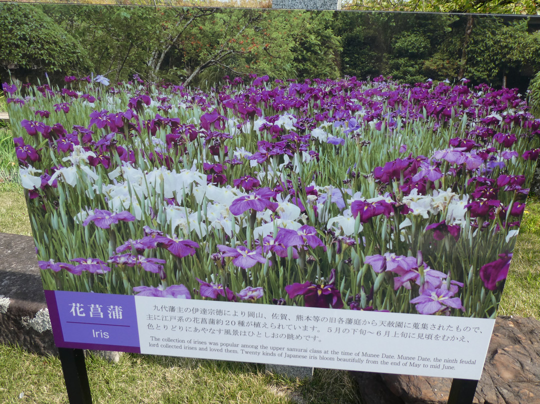 Tenshaen Garden-宇和岛市必去景点
