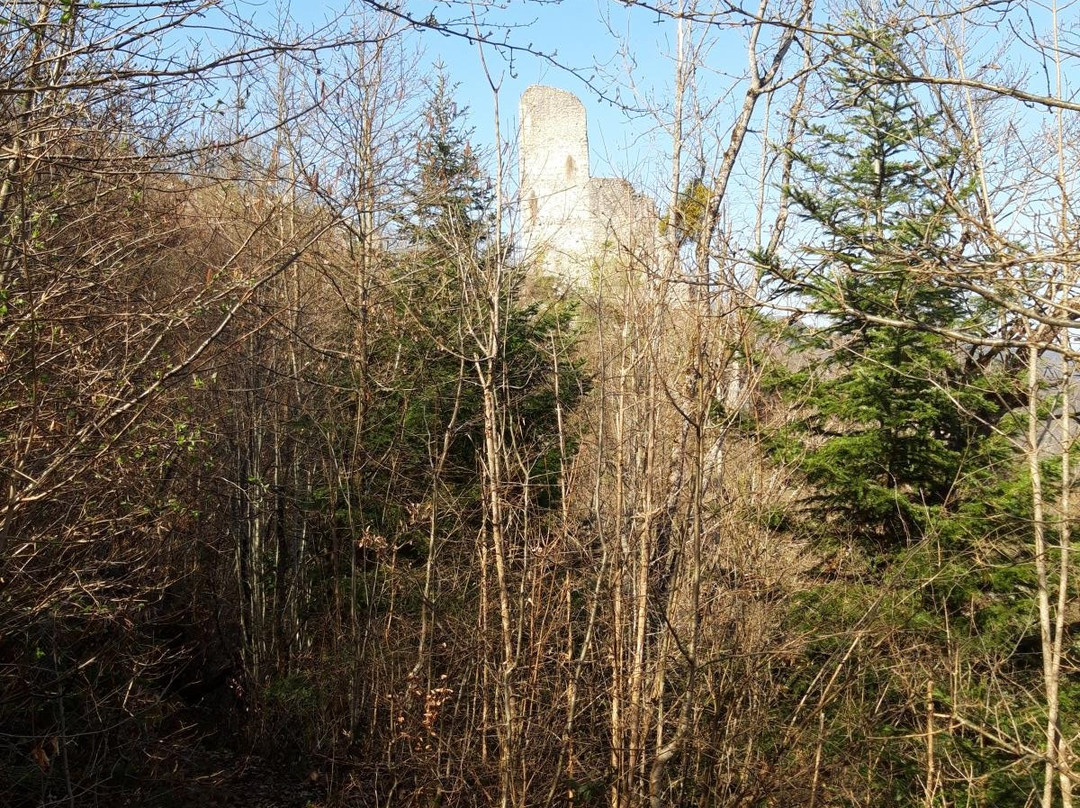 Chateau de Vorbourg-德莱蒙必去景点