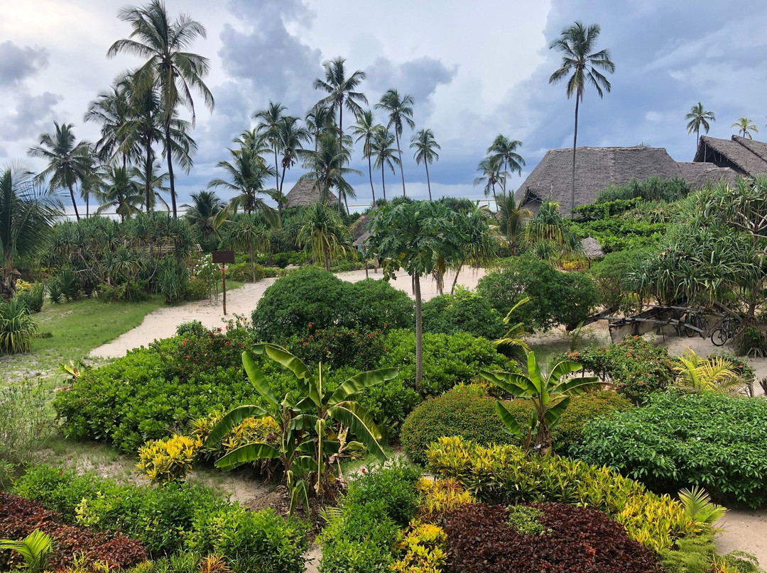 Zanzibar Queen Hotel主图