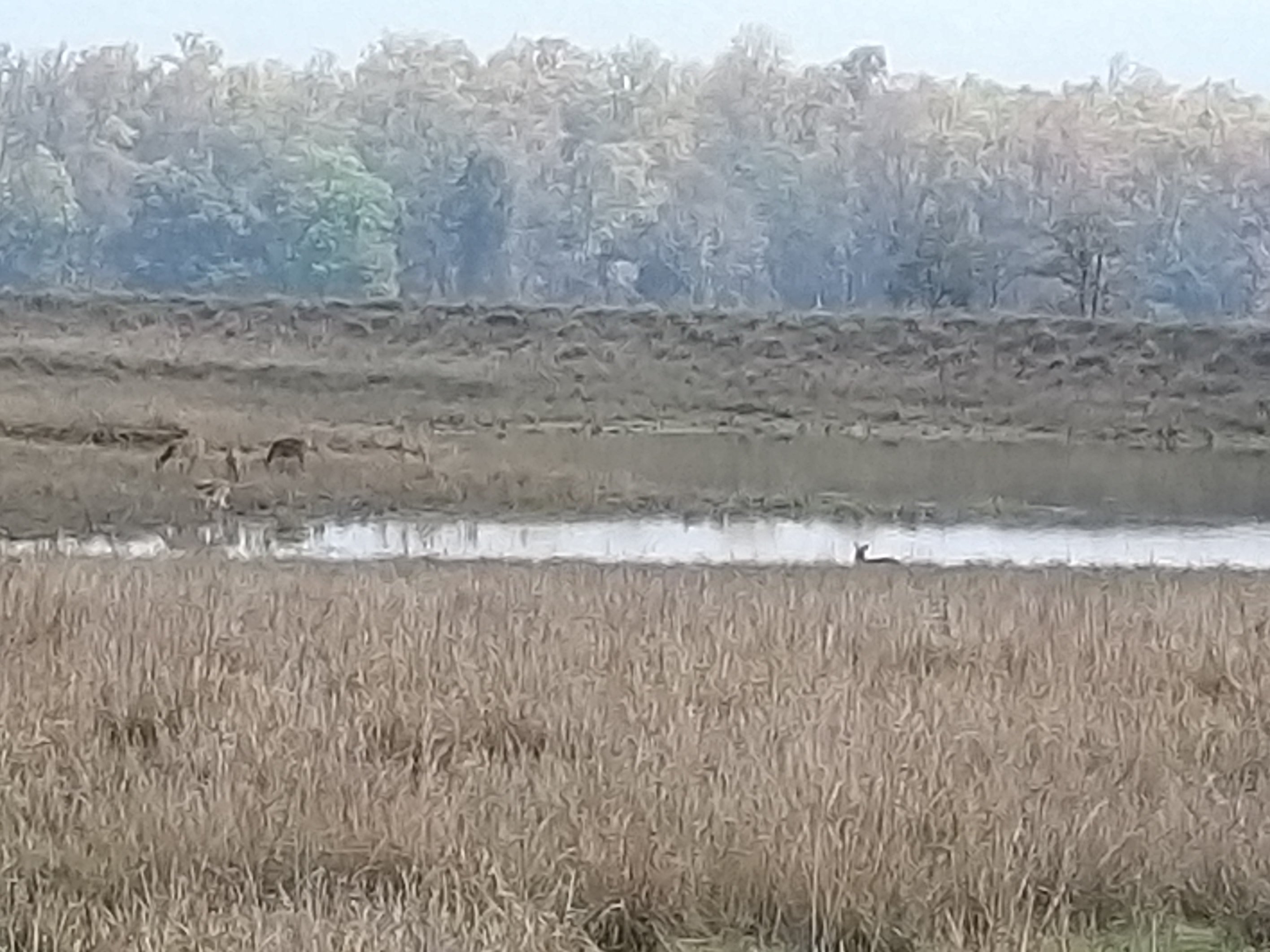 Sarai Kothi-酒店景观