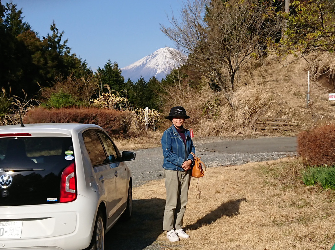 Shiratoriyama Forest Park景点图片