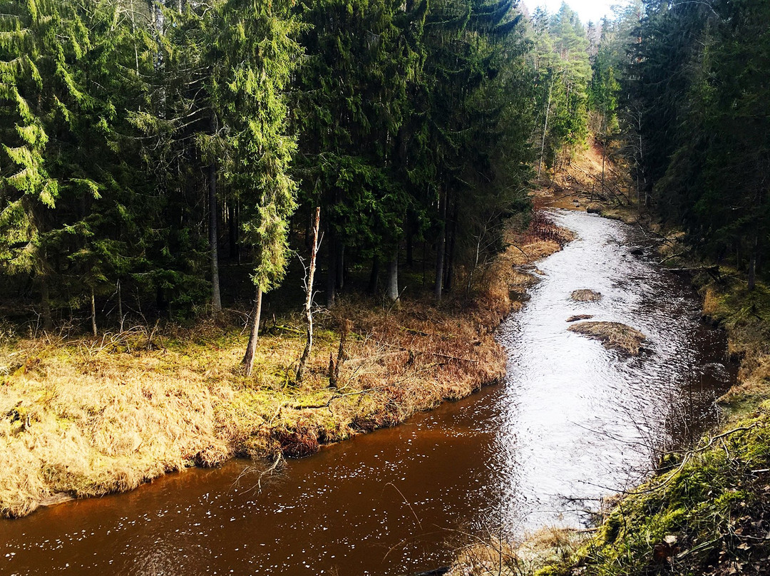 Viesatas Upesloki