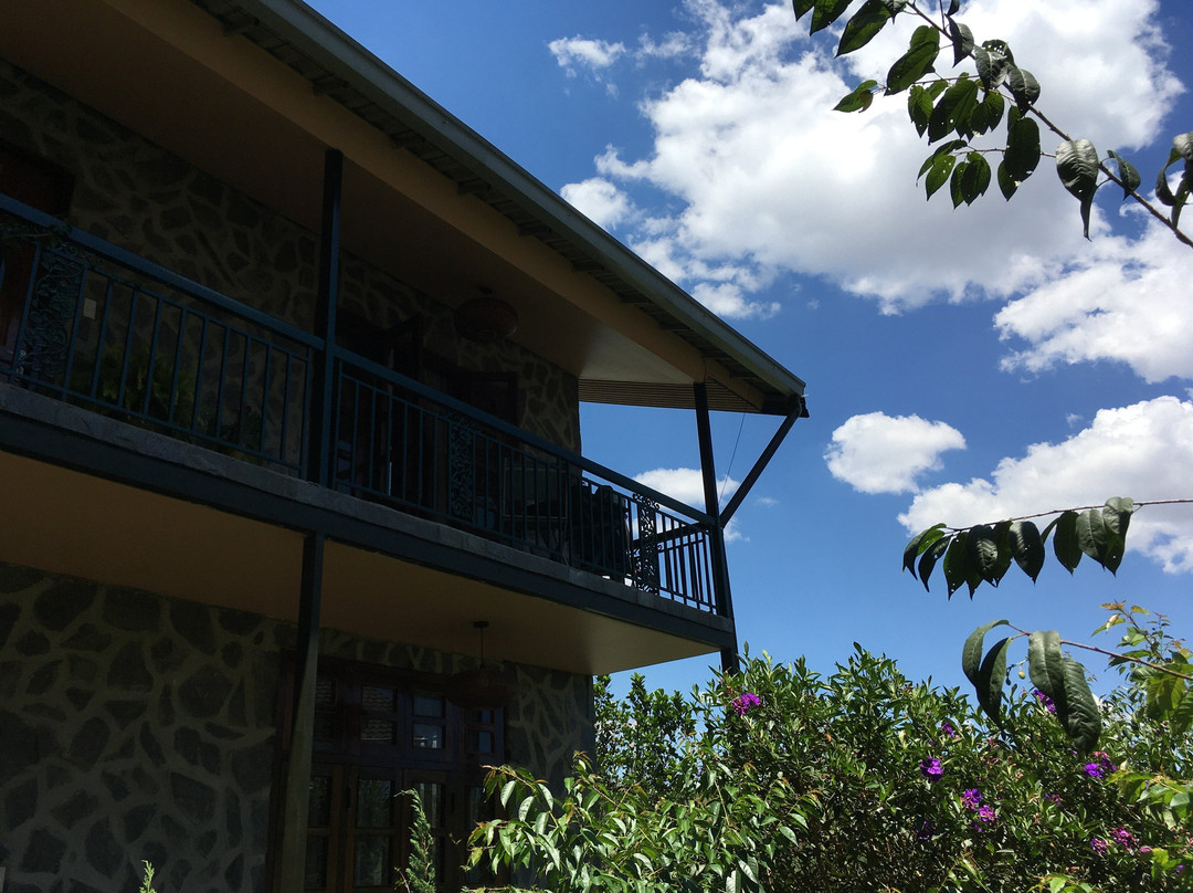 Zen Cafe Lakeside主图