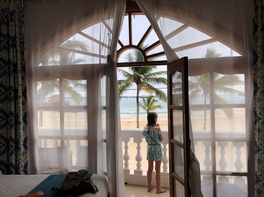 Hotel Albemarle主图