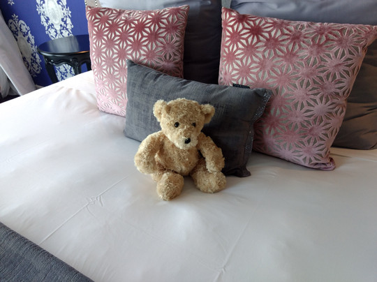 黑天鹅湖景精品酒店主图