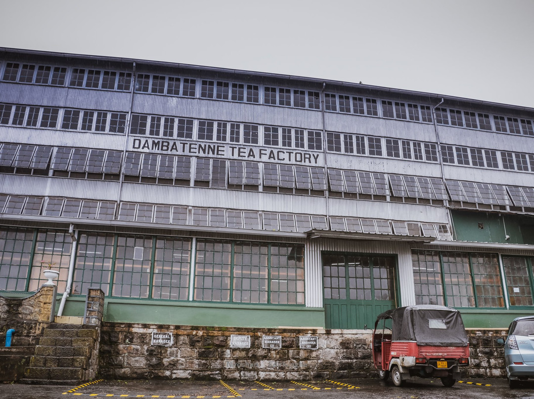 Dambatenne Tea Factory景点图片
