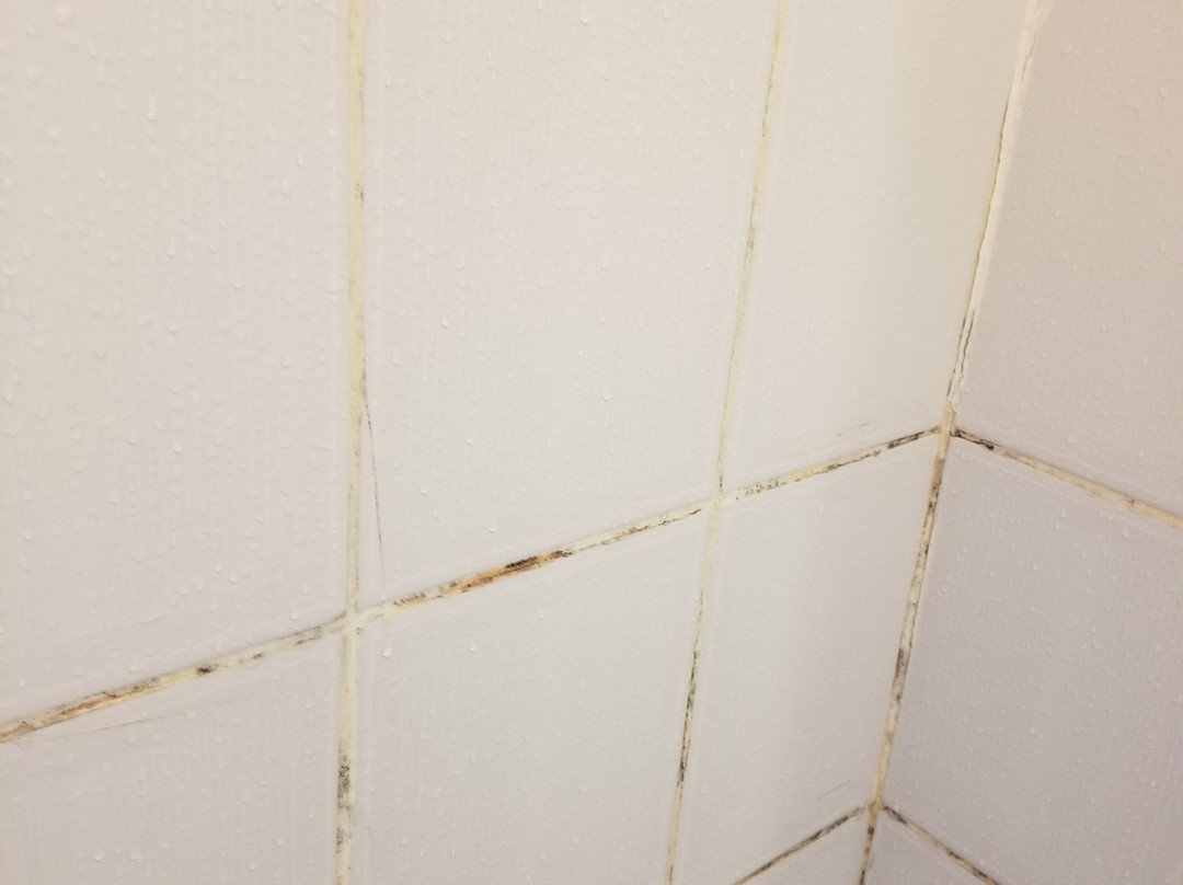 MAS Country Narrandera Club Motor Inn主图