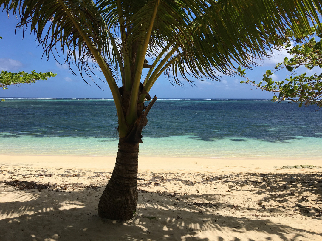 Kagu Beach Resort