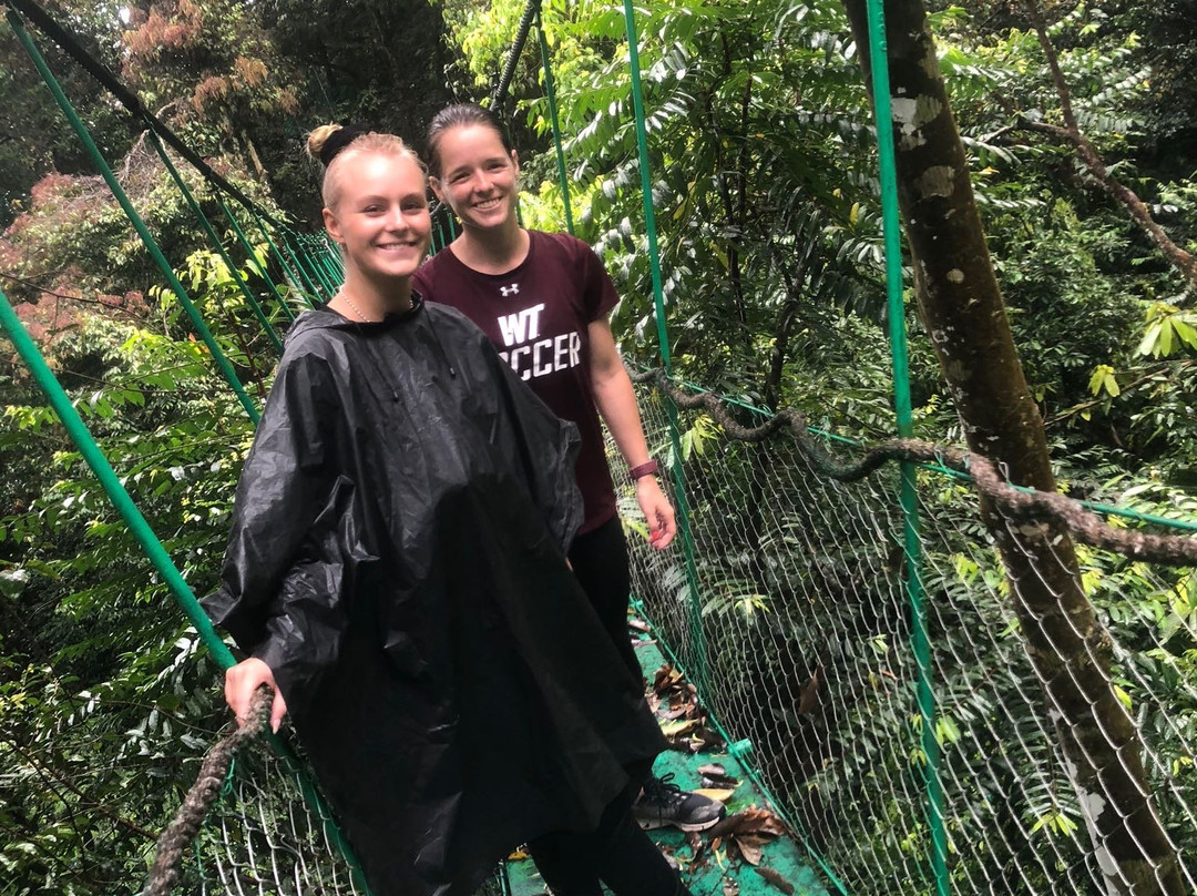 Jungle Trekking Sumatra-棉兰必去景点