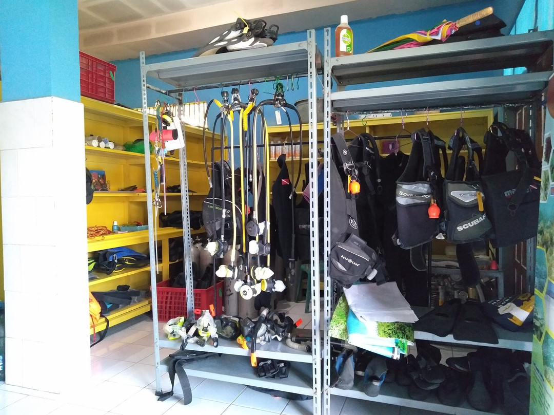 Maumere Dive Journey-Maumere必去景点