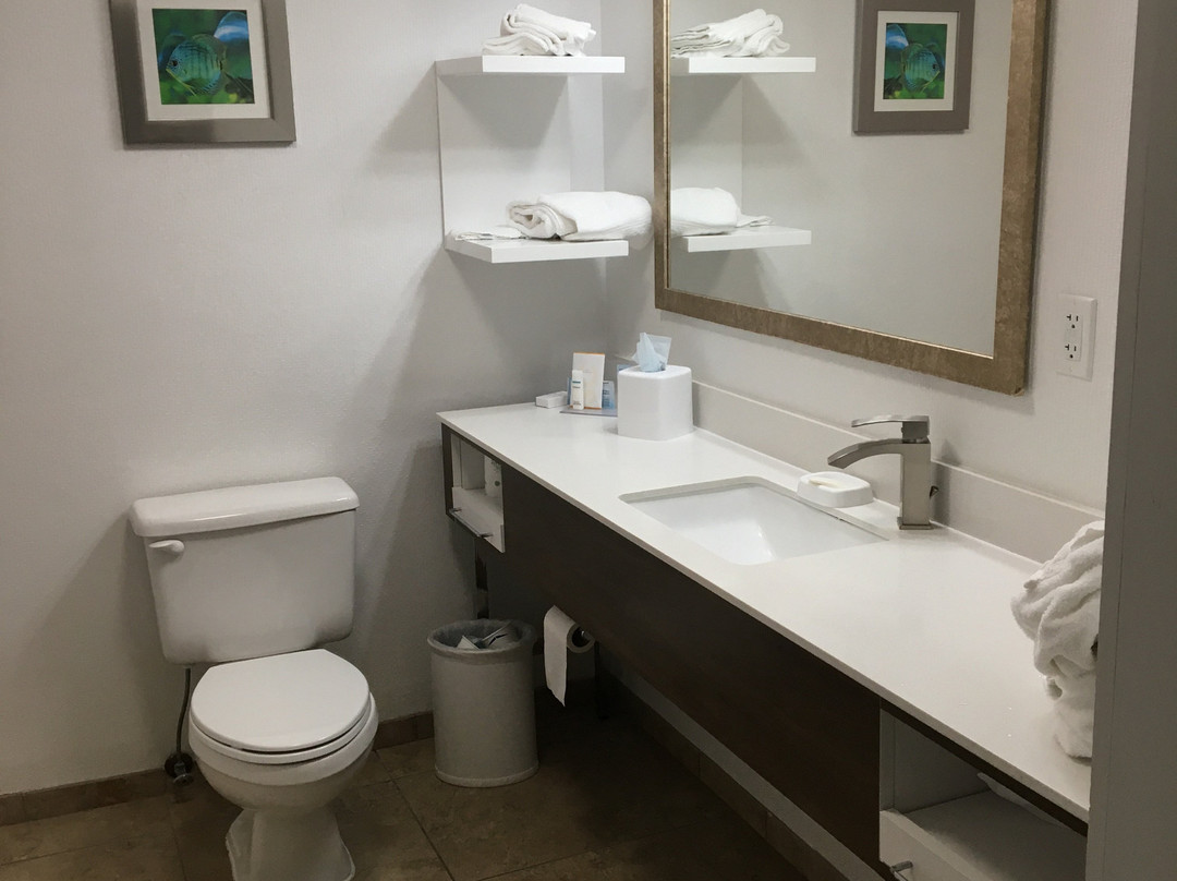 春季山丘希尔顿恒庭酒店主图