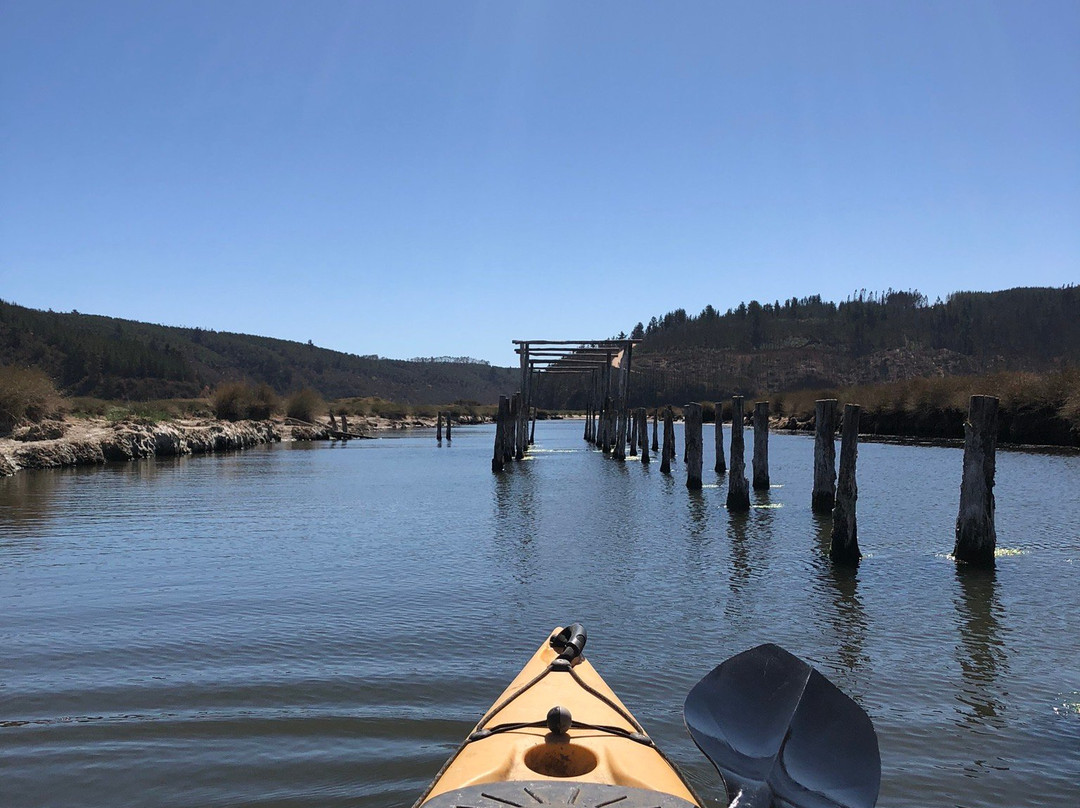 Chile Inexplorado Expediciones-皮钦勒姆必去景点